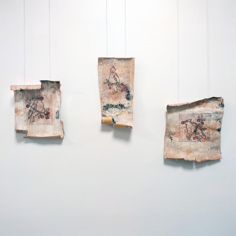 Iines Jakovlev, Tuohitilhet, syväpainografiikka tuohelle, n12x15cm kpl, 2024