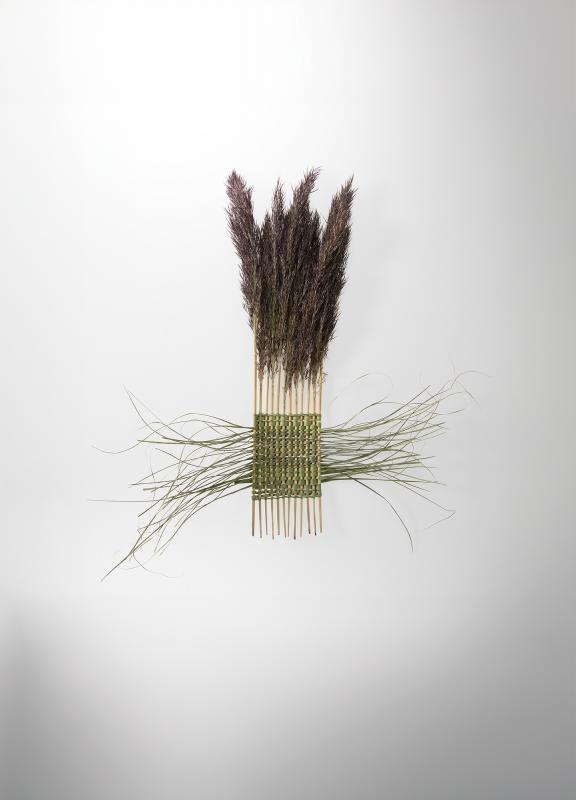 Iines Jakovlev, Tangled, Kudottu järviruoko, 35x30cm, 2024