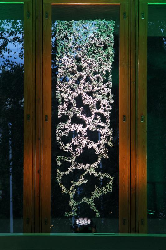 Iines Jakovlev, Cellular, Selluloosa, 800x1200cm, 2021