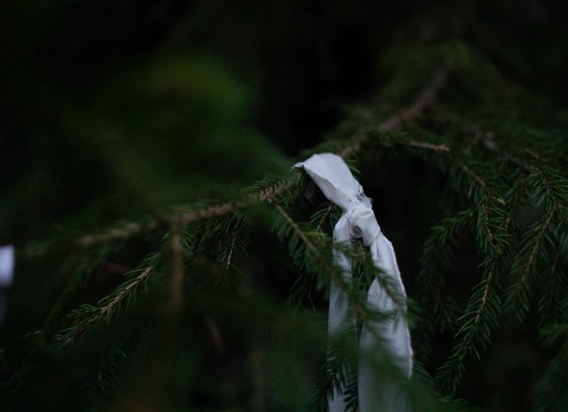 Tuulipaikka
osa laajempaa installaatiosta
2025
Reeta Suvanto 