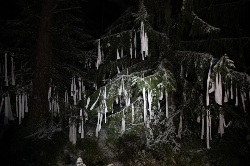 Tuulipaikat
Osa laajaa installaatiota
2026
Reeta Suvanto 